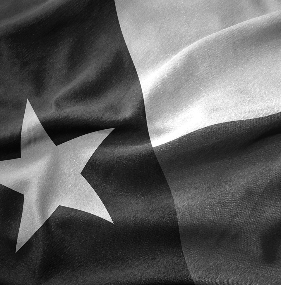 Texas Flag